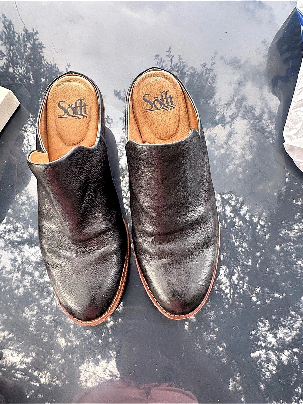 SoftWalk Leather-Look Block Heel Mules in Black & Brown